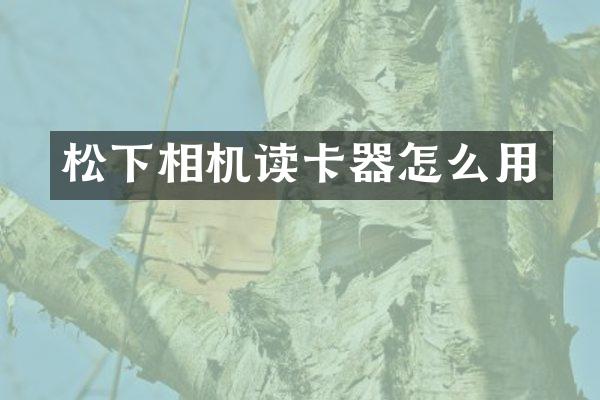 相机读卡器怎么用