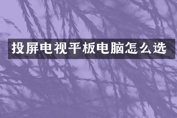 投屏电视平板电脑怎么选