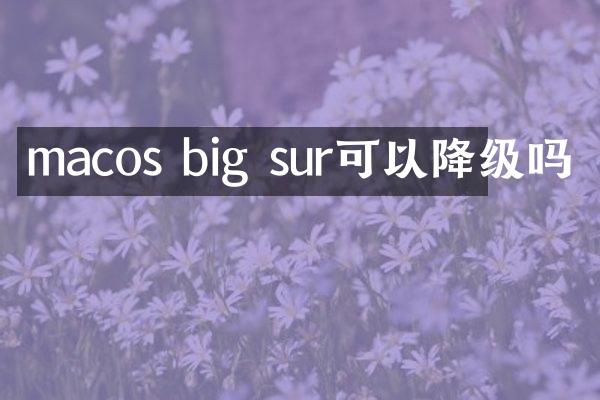 macos big sur可以降级吗