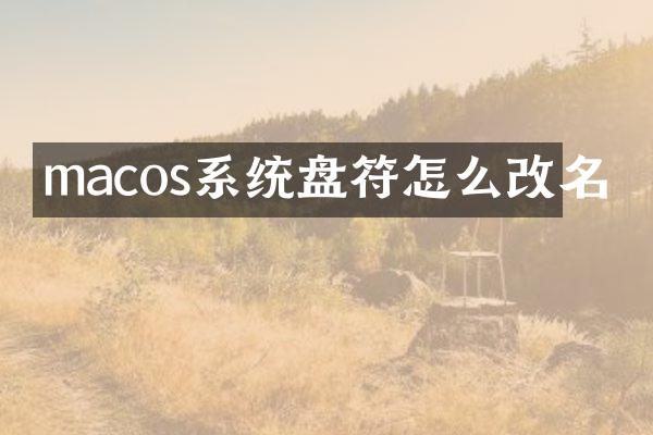 macos系统盘符怎么改名