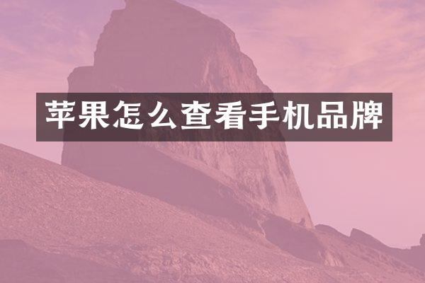 苹果怎么查看手机品牌