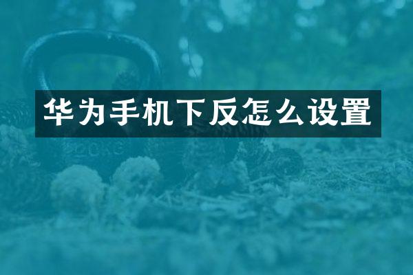 华为手机下反怎么设置