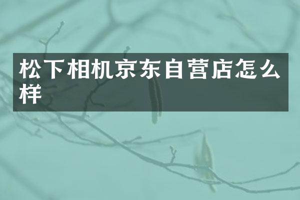 相机京东自营店怎么样