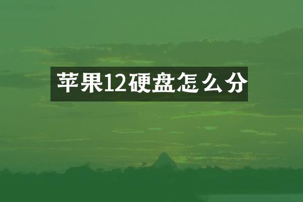 苹果12硬盘怎么分