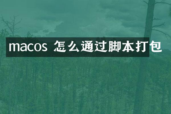 macos 怎么通过脚本打包