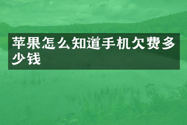 苹果怎么知道手机欠费多少钱
