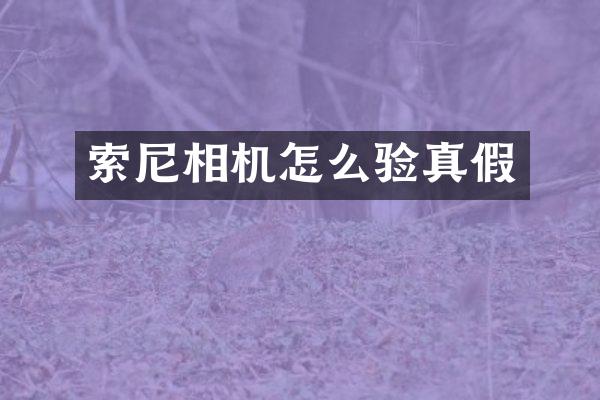 相机怎么验真假