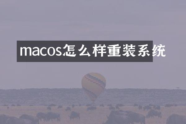 macos怎么样重装系统