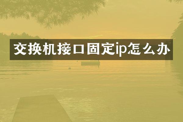 交换机接口固定ip怎么办
