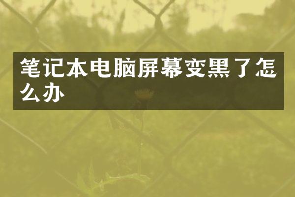 笔记本电脑屏幕变黑了怎么办