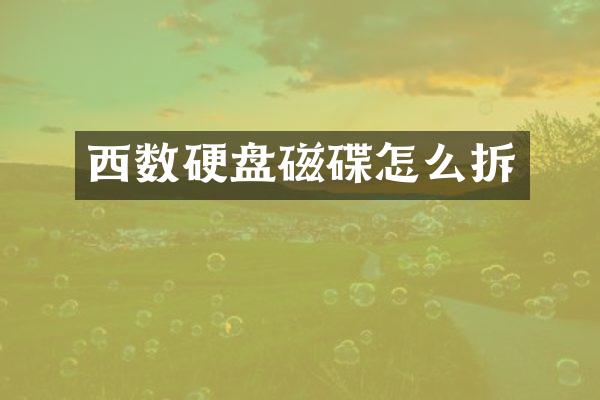西数硬盘磁碟怎么拆