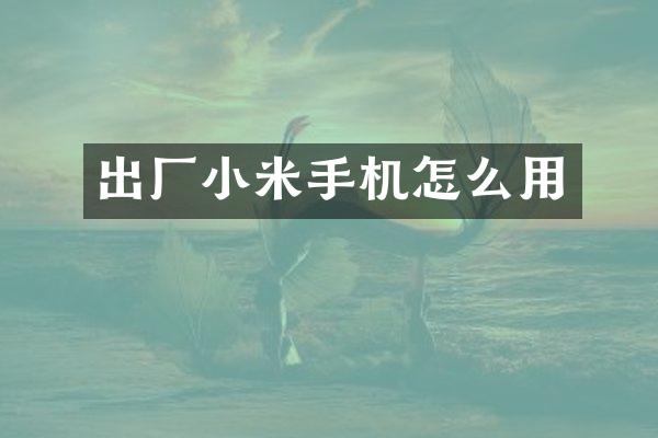 出厂小米手机怎么用