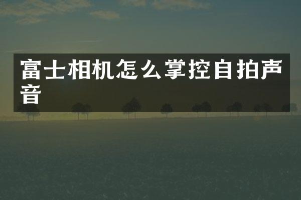 富士相机怎么掌控声音