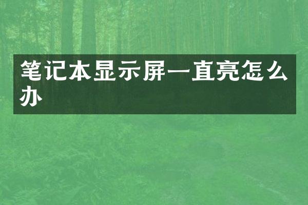 笔记本显示屏一直亮怎么办
