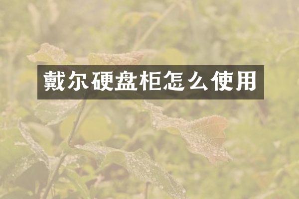 戴尔硬盘柜怎么使用