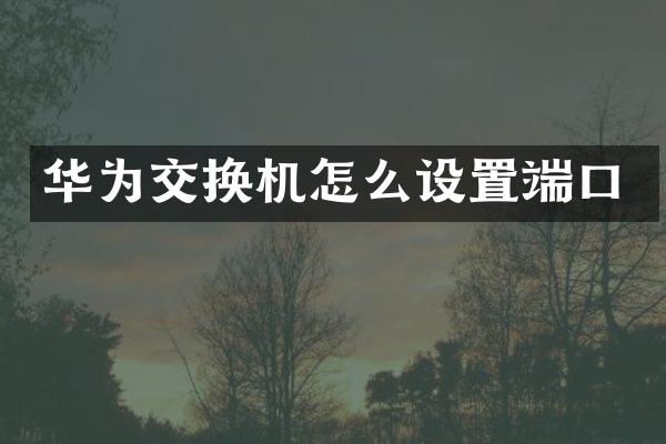 华为交换机怎么设置端口