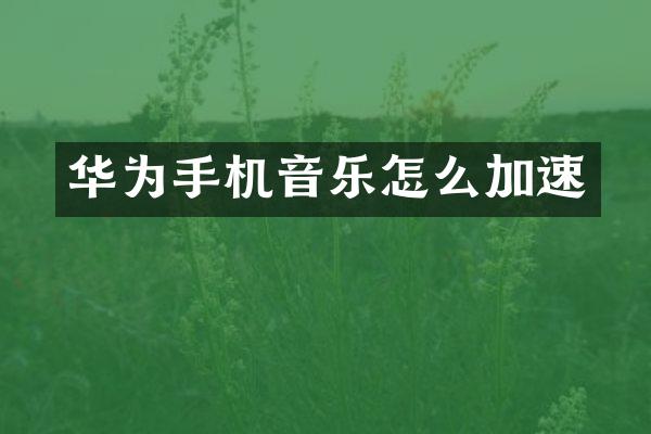 华为手机音乐怎么加速