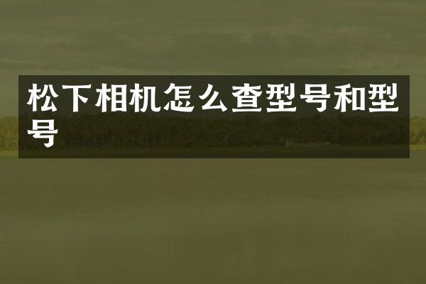 相机怎么查型号和型号