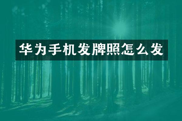 华为手机发牌照怎么发