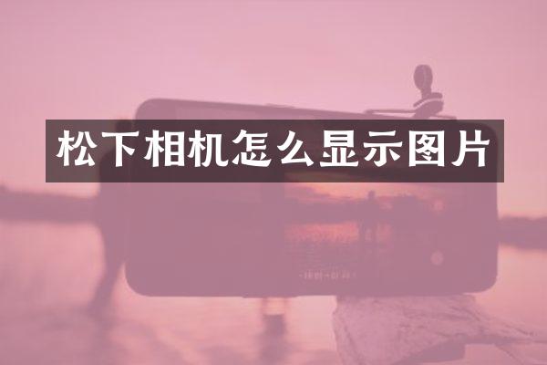 相机怎么显示图片
