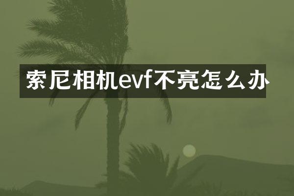 相机evf不亮怎么办