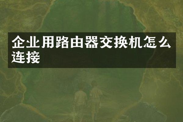企业用路由器交换机怎么连接