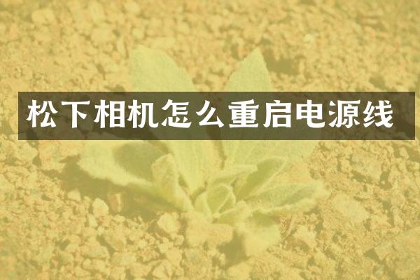 相机怎么重启电源线