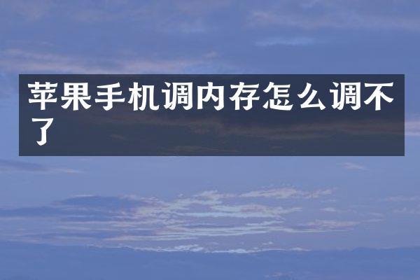 苹果手机调内存怎么调不了