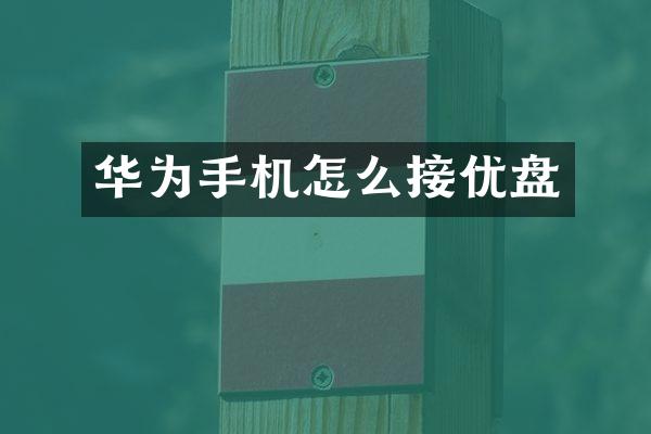 华为手机怎么接优盘
