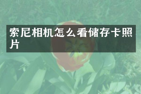 相机怎么看储存卡照片