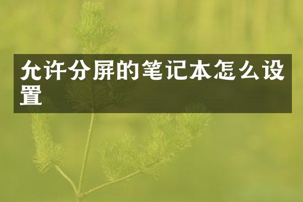 允许分屏的笔记本怎么设置