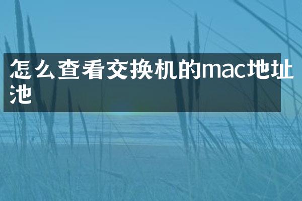 怎么查看交换机的mac地址池