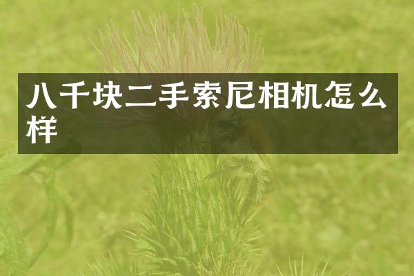 八千块二手相机怎么样