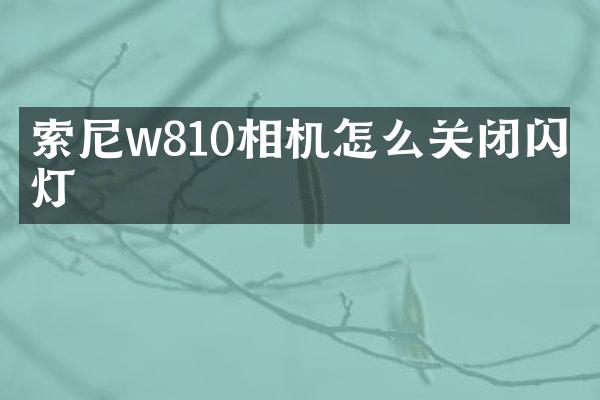 w810相机怎么关闭闪光灯
