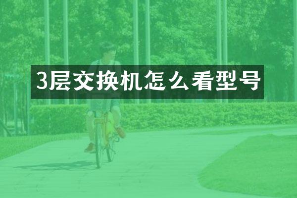 3层交换机怎么看型号