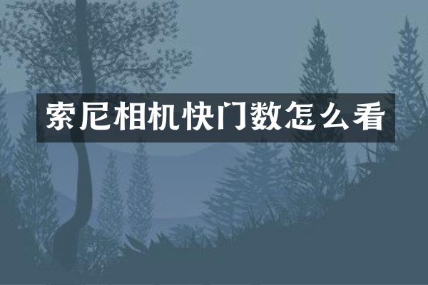 相机快门数怎么看