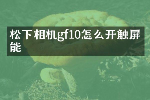 相机gf10怎么开触屏功能