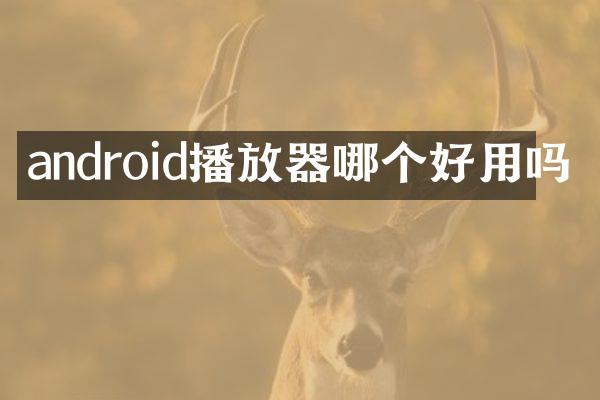 android播放器哪个好用吗