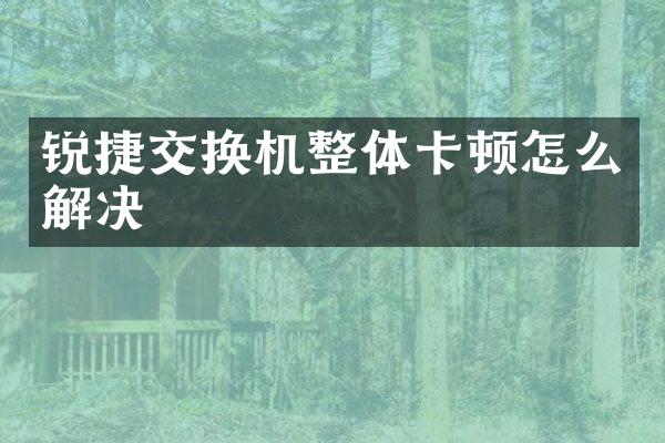 锐捷交换机整体卡顿怎么解决