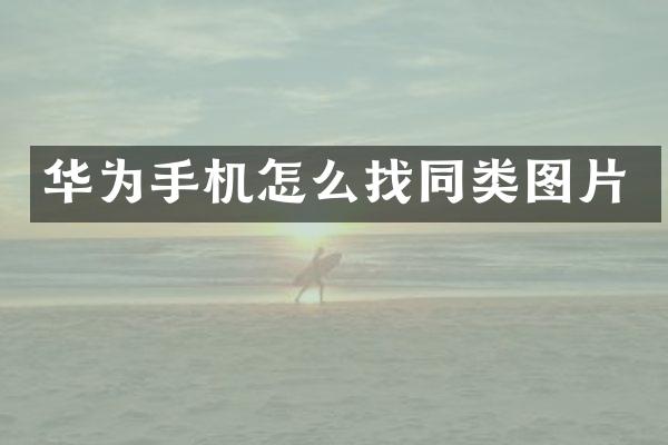 华为手机怎么找同类图片