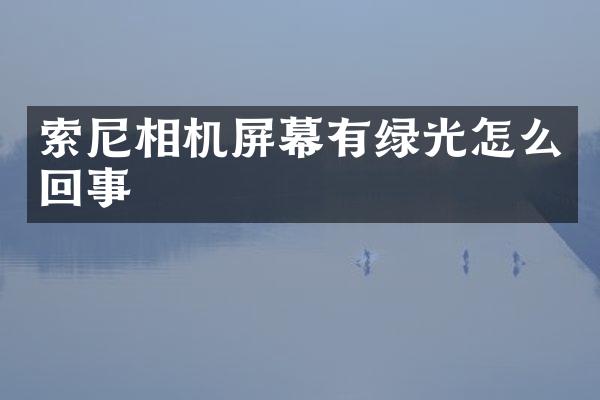 相机屏幕有绿光怎么回事