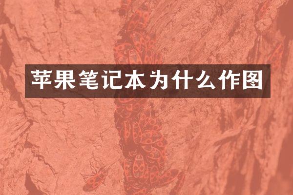 苹果笔记本为什么作图