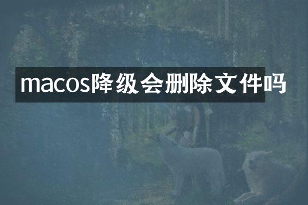 macos降级会删除文件吗