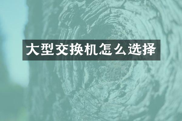 大型交换机怎么选择