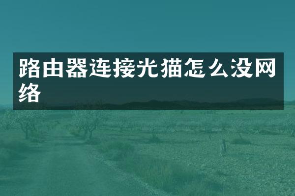 路由器连接光猫怎么没网络