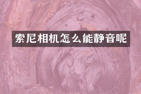 相机怎么能静音呢