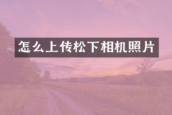 怎么上传相机照片