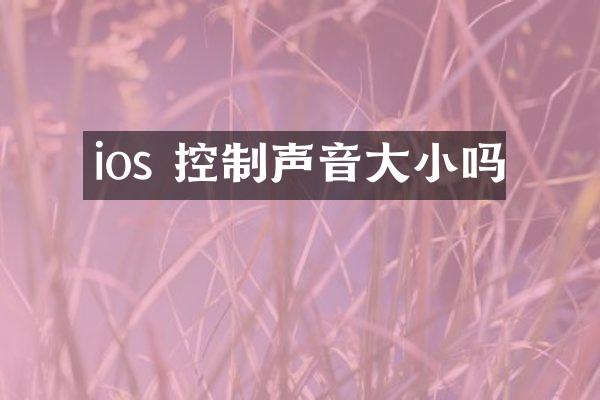 ios 控制声音大小吗