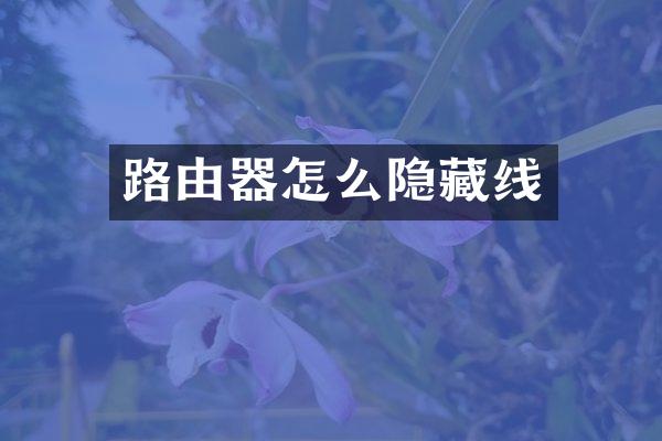 路由器怎么隐藏线