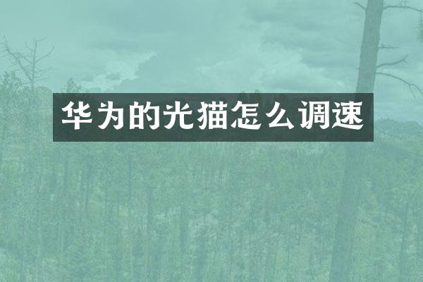 华为的光猫怎么调速